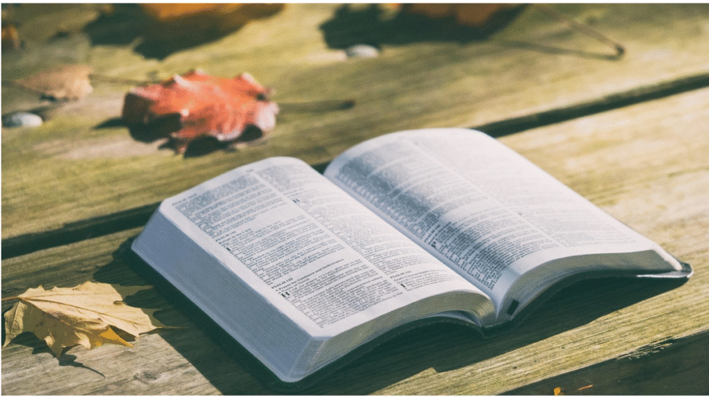 O Salmo 91 Um Capítulo Bíblico de Proteção ao Cristão