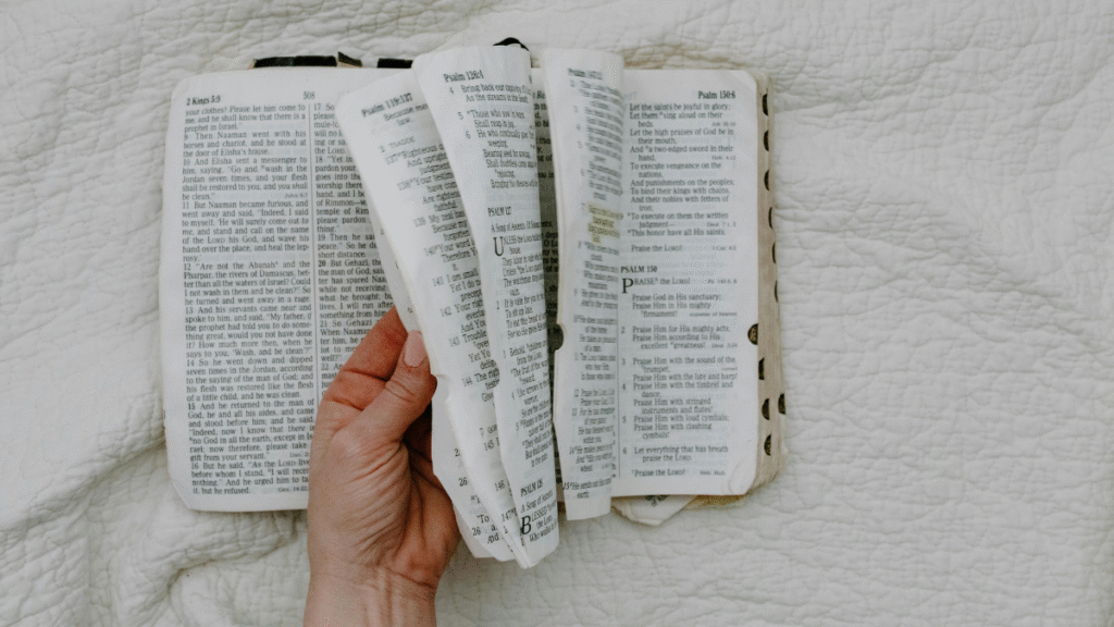 Salmo 91 versiculo 04 Debaixo de suas asas estamos seguros 