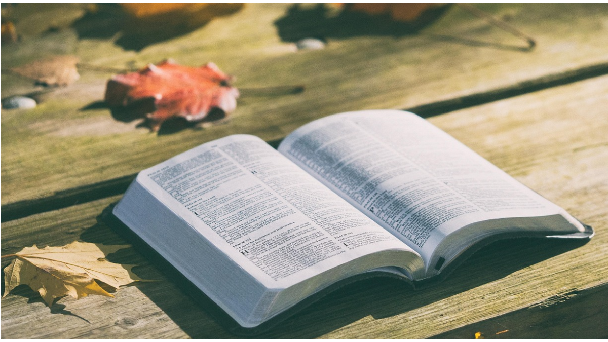 O Salmo 91 Um Capítulo Bíblico de Proteção ao Cristão